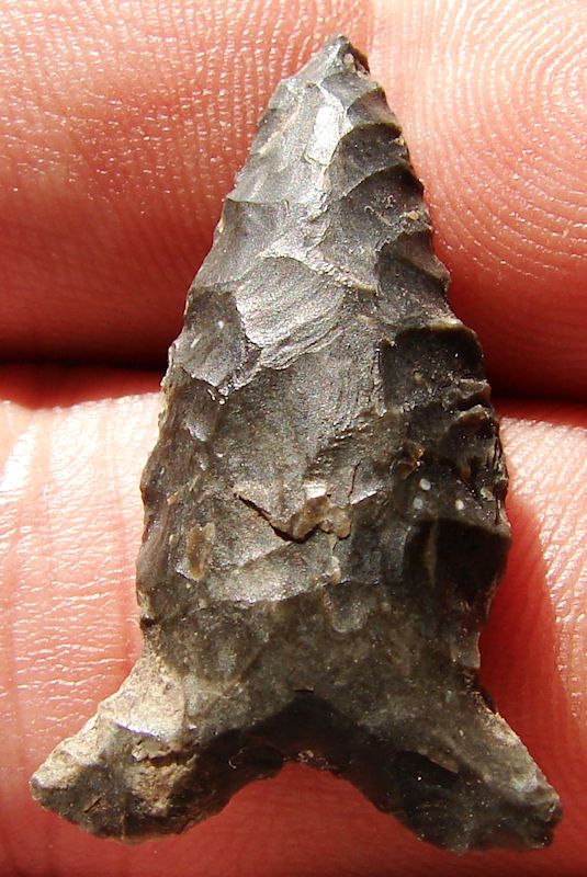 GREAT BASIN ARROWHEAD COLORFUL ELKO EARED DART MK 163  