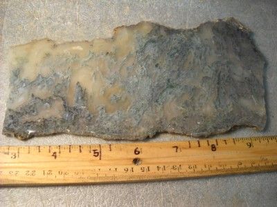 Loveland Large Moss Agate from Antelope Oregon  