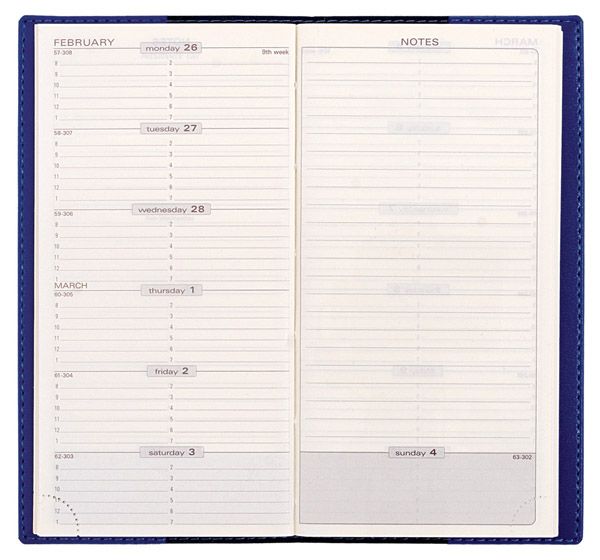 Quo Vadis Club 2012 SPACE 17 Weekly Planner 3x6 TEAL  