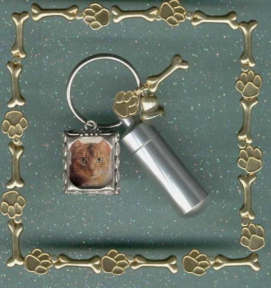 T3,KeyChain Urn,Pet Urn,Feline,Cat,Dog,Cremation Urn  