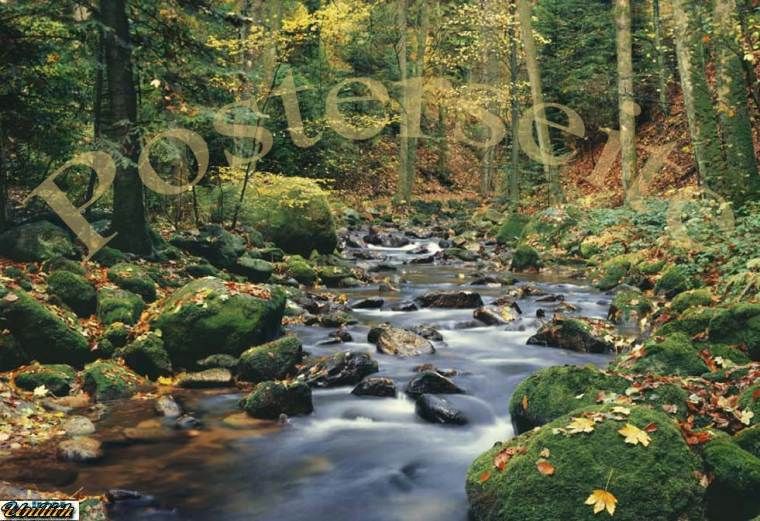 UnserFimenlogo ( Wasserzeichen ) befindet sich nur auf dem 