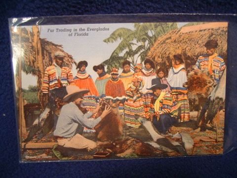 Fur trading in the Everglades of Florida. Fine vintage scene. Unused 