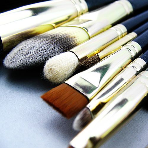 12 PCs Newest Professional Makeup Brush Set + 2 Case  