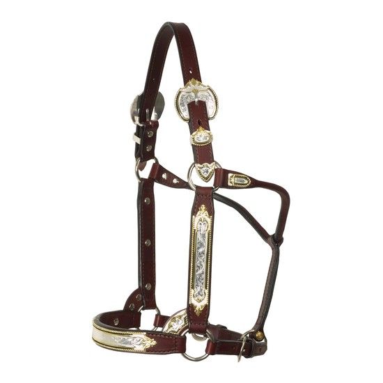 Billy Royal® Scottsdale Classic Show Halter