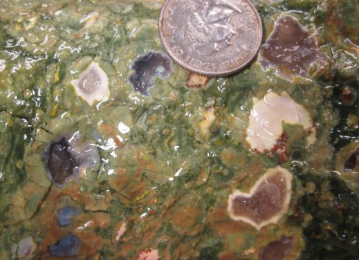 rm69   NEW STOCK   Rainforest Jasper   Australia   7.5 lbs #668  