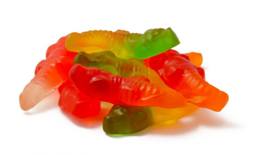 Trolli Gummi Alligators (Gummy Candy ) 1.5 LB  