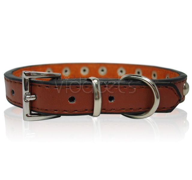 11 brown Leather Studded Dog Collar Small XS  