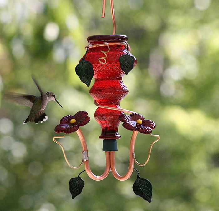 CRYSTAL RED Double Port Glass  Hummingbird Feeder Perry  