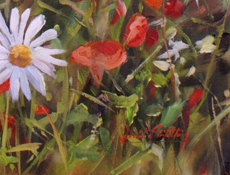 POPPIES Superb New DAVID STRIBBLING flower Oil Painting  