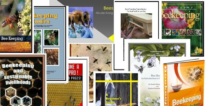 200+ Beekeeping Books On CD  