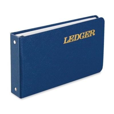 Wilson Jones Ring Ledger Binder, 1 Inch Capacity, 5.5 x 8.5 Inch Size 