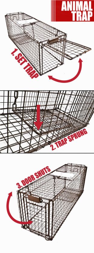 Live Animal Trap Skunk Racoon Cat 31 x 9 x 11 Cage Rabbit Box 