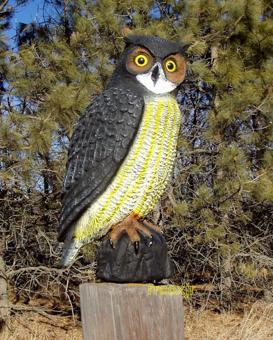 CARRY LITE GREAT HORNED OWL DECOY CROW HUNTING GARDEN SCARECROW 20 